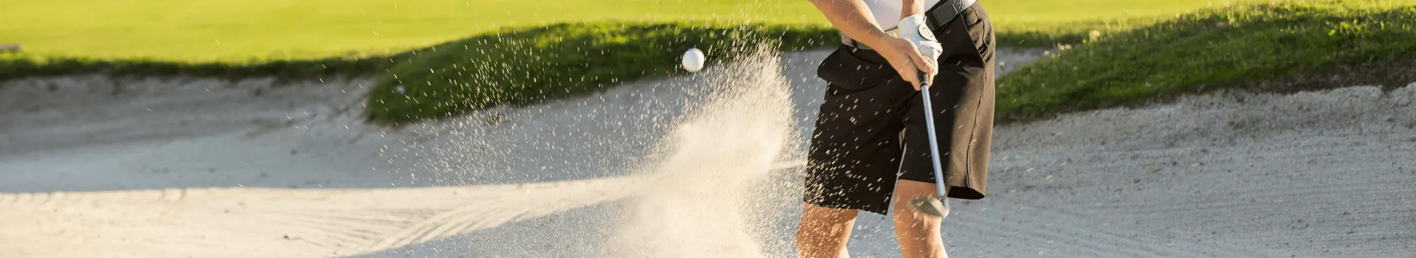 Alferini Golf - Image 2